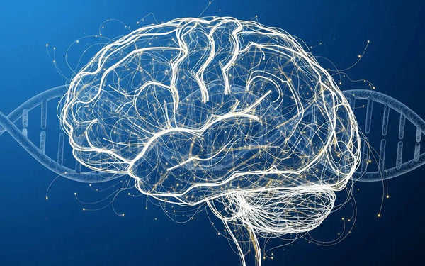 Ny norsk Parkinson-forskning vekker internasjonal interesse