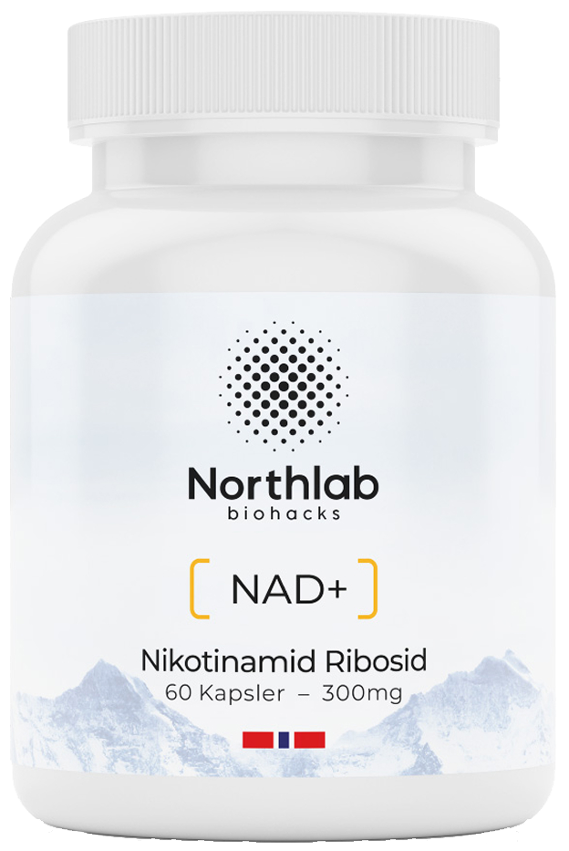 Nikotinamid Ribosid – forløper til NAD⁺