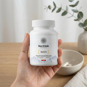 Nikotinamid Ribosid – forløper til NAD⁺